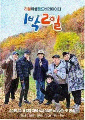 奔跑吧 真人秀在线